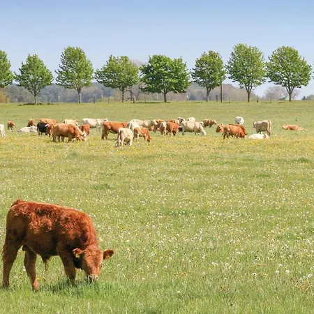 Reetdachhaus 4 Auf Usedom 度假居