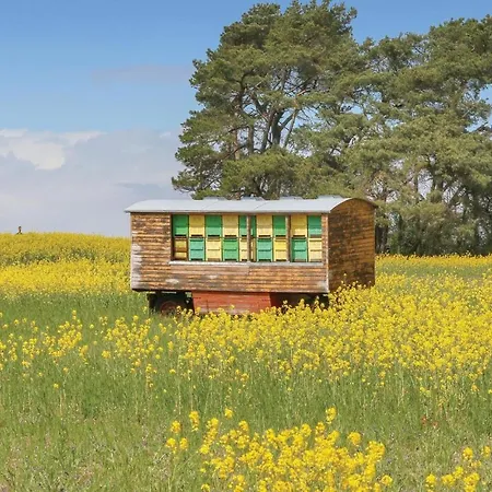 Reetdachhaus 4 Auf Usedom *