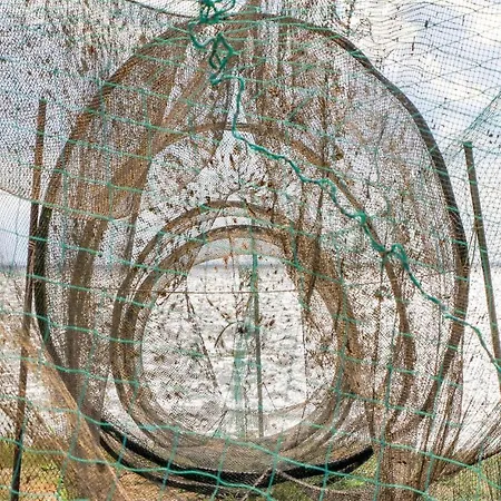 Tatil Evi Reetdachhaus 4 Auf Usedom *