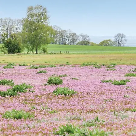 Reetdachhaus 4 Auf Usedom Garz (Usedom)