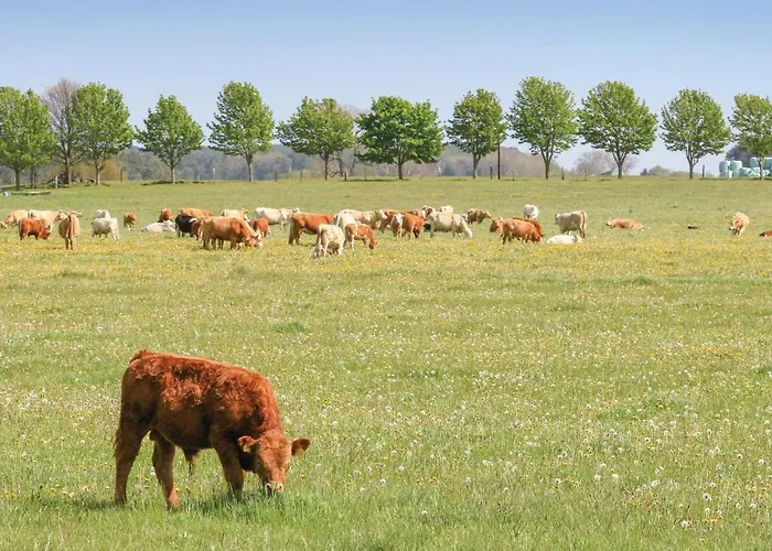 Reetdachhaus 4 Auf Usedom Дом отдыха
