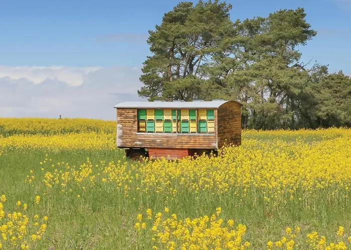 Reetdachhaus 4 Auf Usedom *