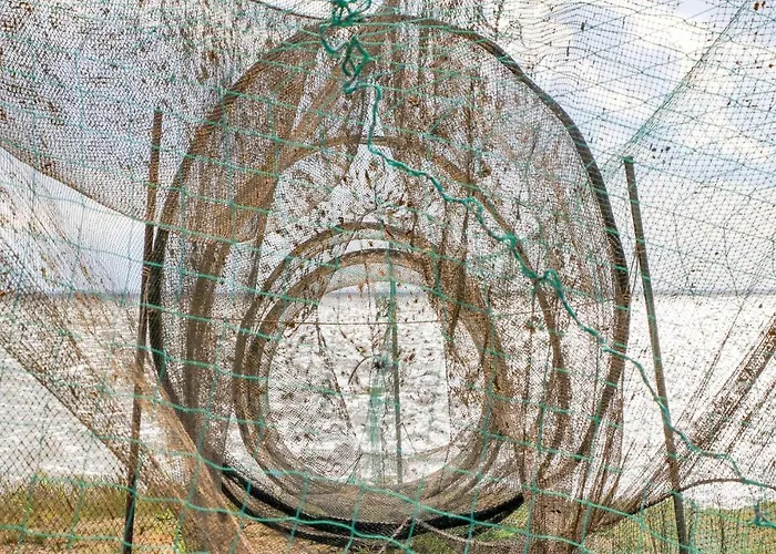 Дом отдыха Reetdachhaus 4 Auf Usedom *